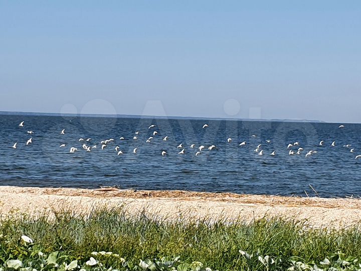 Участок 7,95 га (СНТ, ДНП)