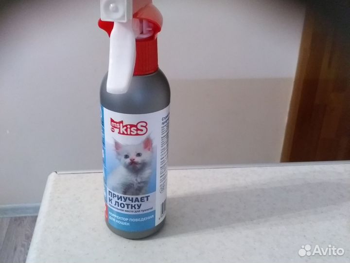 Лоток для кошек