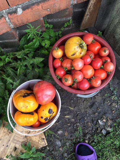 Дача 30 м² на участке 7 сот.