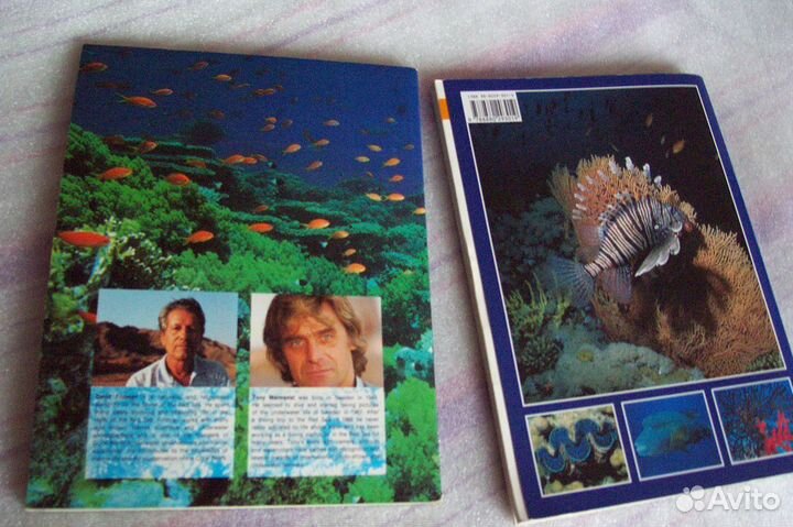 Красное море фотоальбом