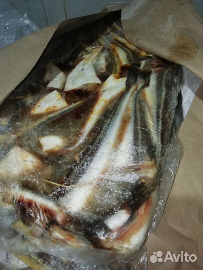 Рыба для животных