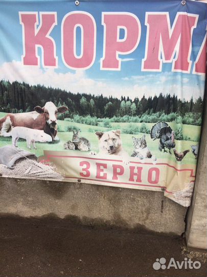Корма для животных