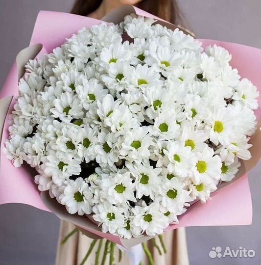 Хризантема Доставка цветов Букеты