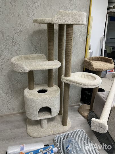 Комплекс для неск.кошек 