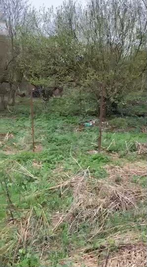 Дача 140 м² на участке 11,5 сот.