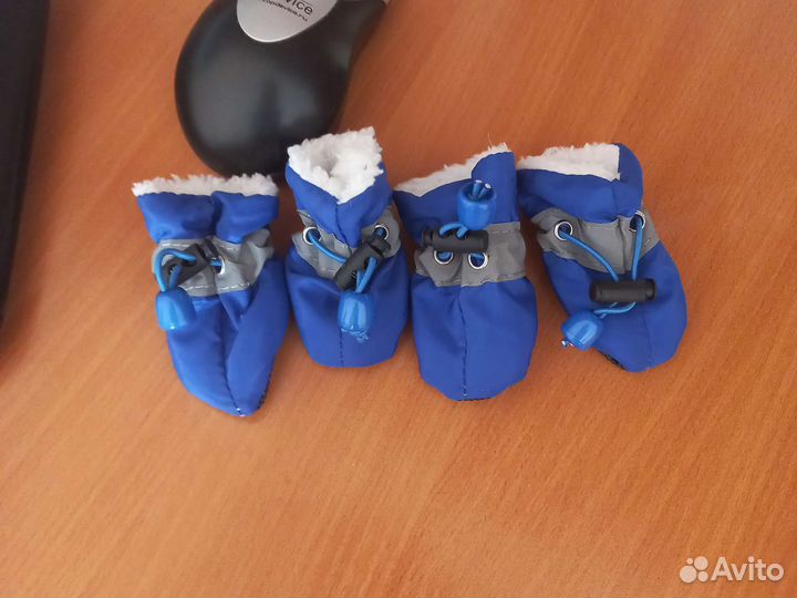 Костюм для собачки