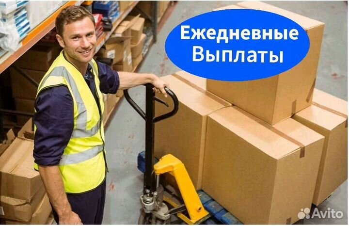 Грузчик ежедневные выплаты