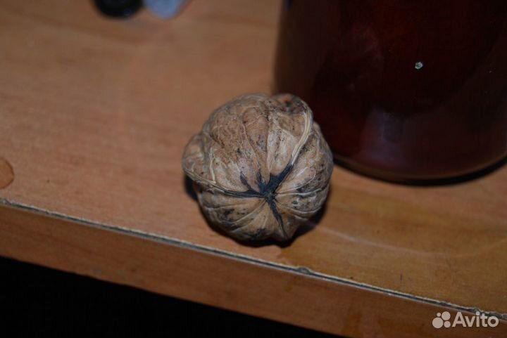 Трёх дольный грецкий орех