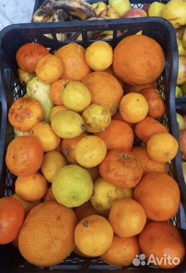 Корм для животных