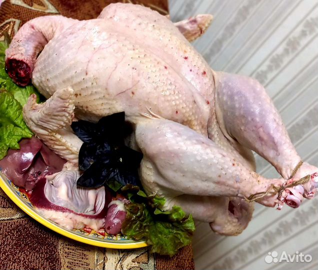 Мясо домашней индейки