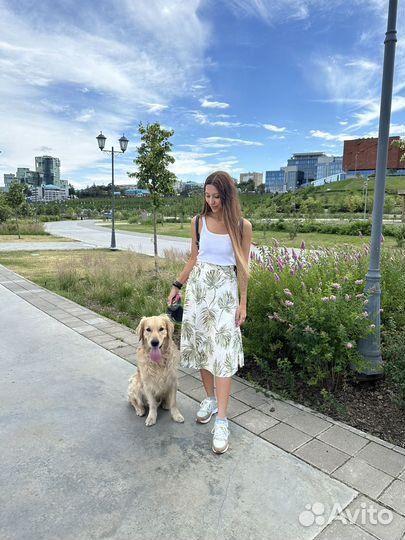 Зооняня передержка животных догситтер