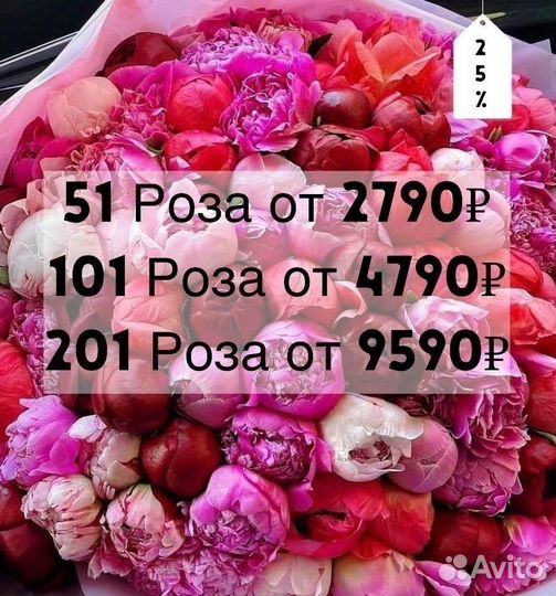 101 Роза Букеты Цветы