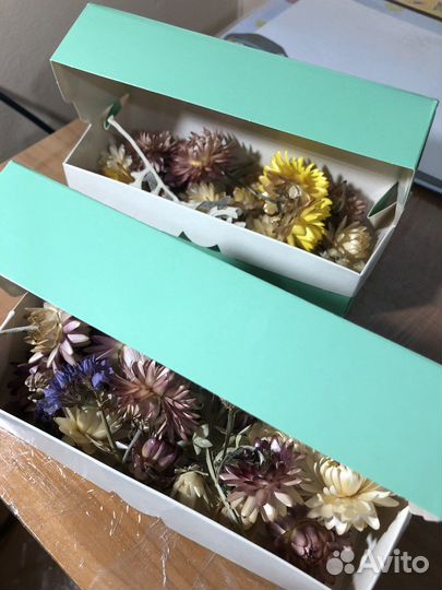 Сухоцветы для творчества