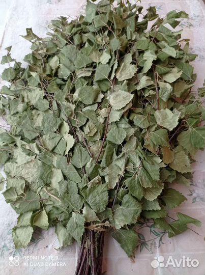 Веник березовый