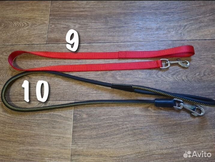 Амуниция для собак