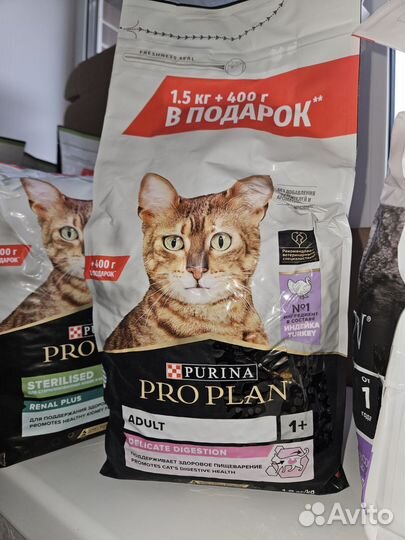 Корм для кошек проплан