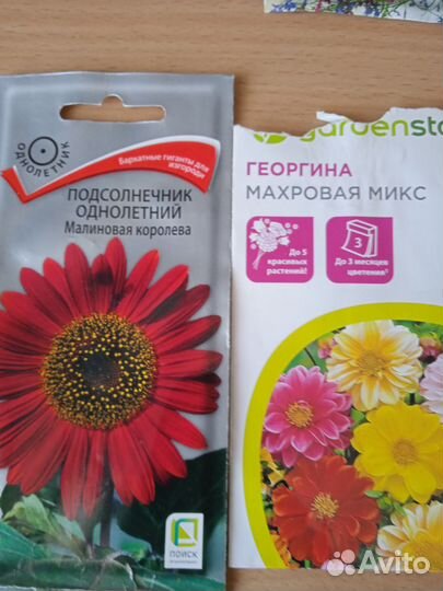 Бархатцы, георгины, петунии, лобелия,астры иовощи