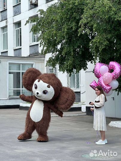 Чебурашка Поздравление на праздник