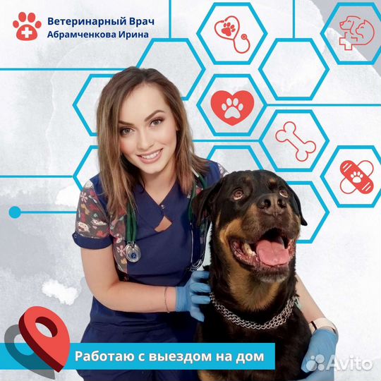 Ветеринарные услуги