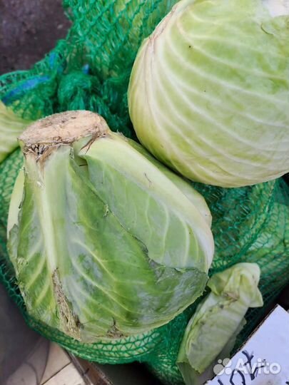 Продукты питания с доставкой