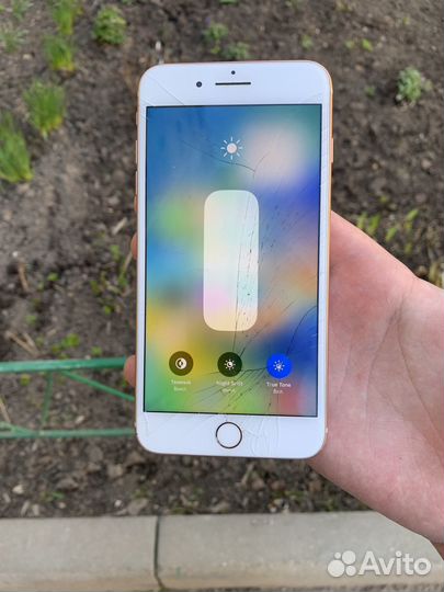 iPhone 8 Plus, 64 ГБ