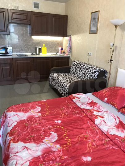 Квартира-студия, 29 м², 3/17 эт.