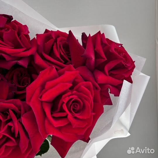 Букет красная французская роза