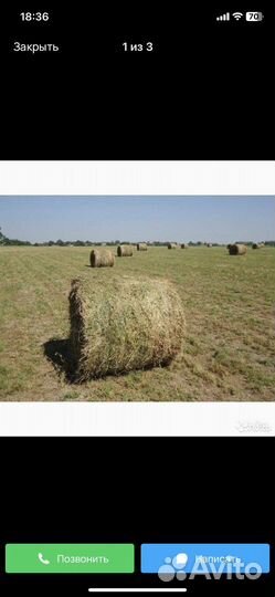 Продам сено в рулонах