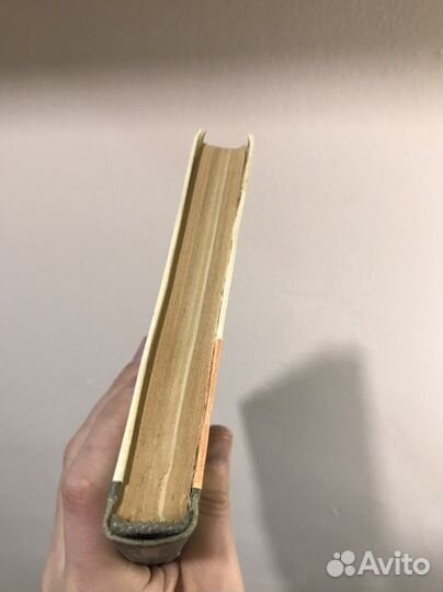 Книга жзл Чаплыгин