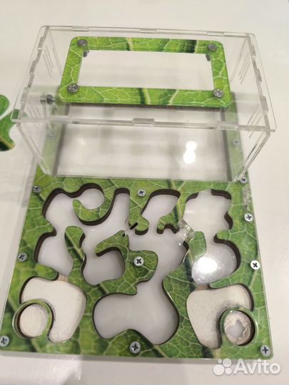 Формикарий для муравьев