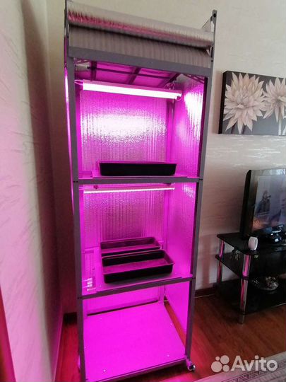 Домашний огород дл выращивания зелени, рассады