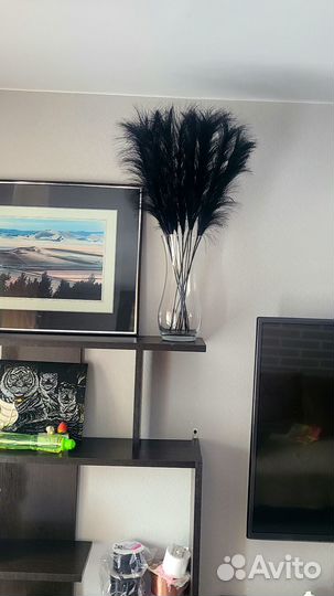 Декоративные ветки