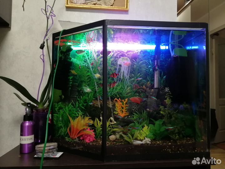 Аквариум