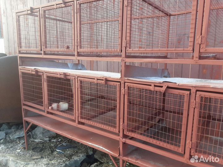 Клетка для кроликов