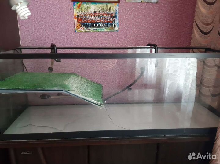 Аквариум,террариум