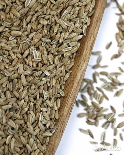 Фенхель - сушеные семена