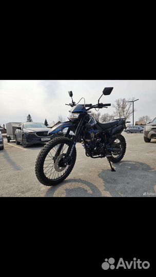 Avantis lx 300