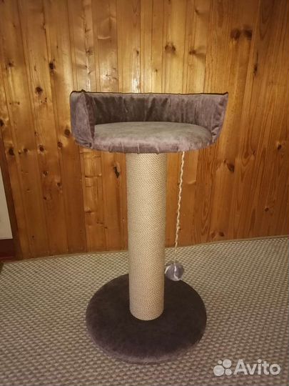 Когтеточка для кошки