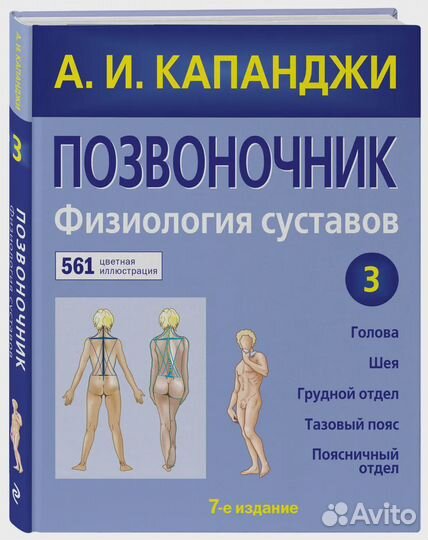 Позвоночник: Физиология суставов (обновленное изда