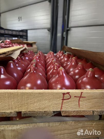 Азербайджанский сладкий томат с зелеными семенами