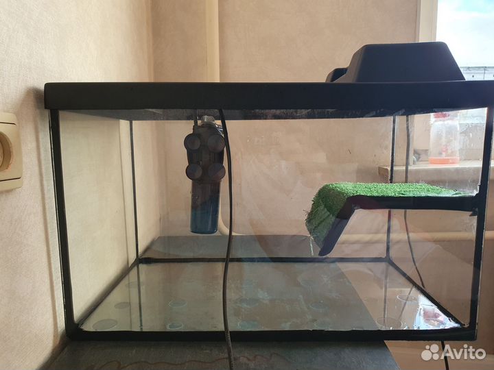 Террариум для красноухой черепахи