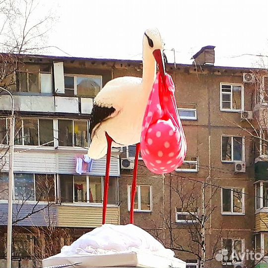 Выписка из роддома