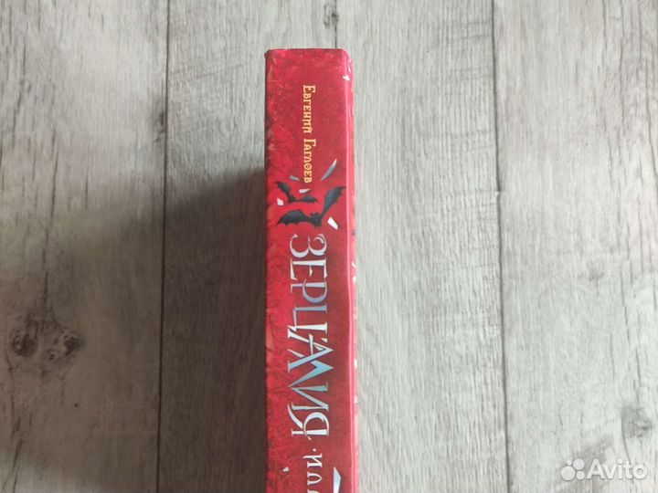 Книга Зерцалия Иллюзион Евгений Гаглоев