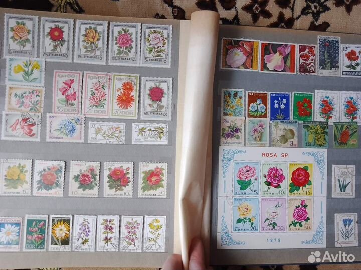 Марки флора и фауна