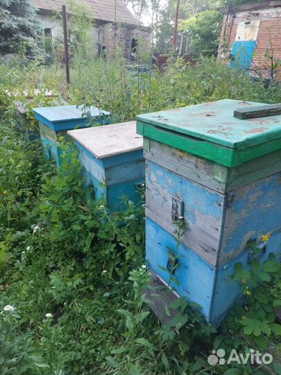 Все для пасеки бу