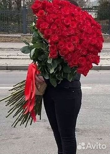Высокие розы Гигантские Розы 150 160 170 180 190см