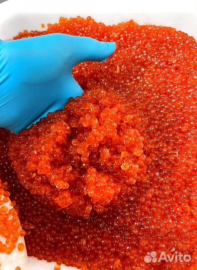 Красная икра горбуши