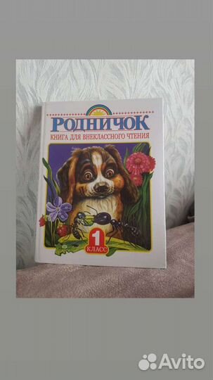 Внеклассное чтение