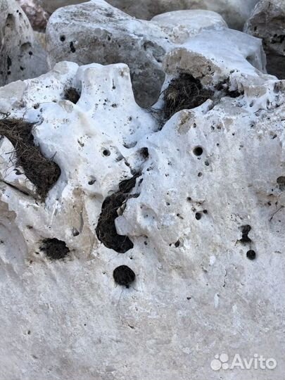 Ландшафтный камень известняк выветренный (белый)
