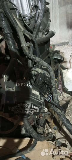 Проводка форд ренжер 2